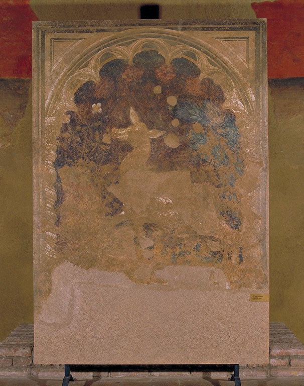 Cerbiatto