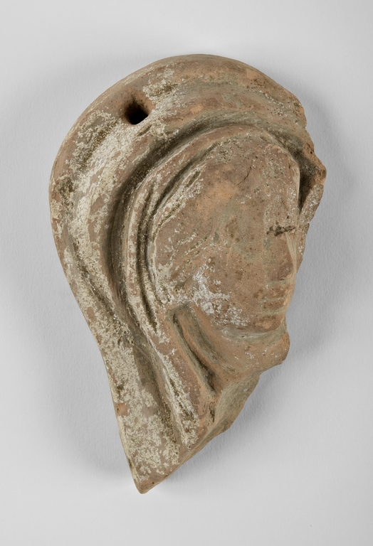 Testa di Madonna